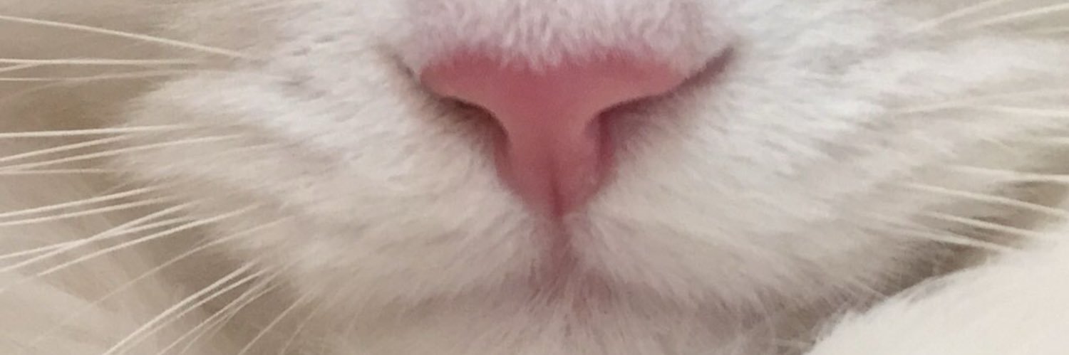 iezi_'s profile banner image