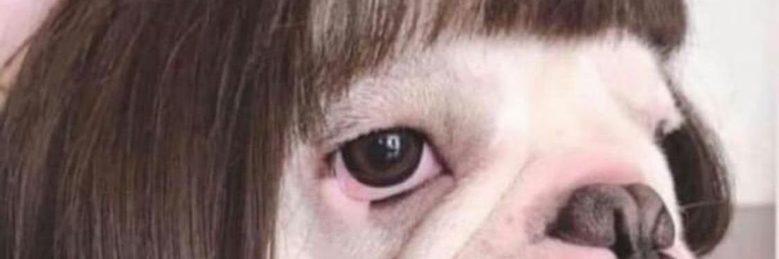 KingPan13's profile banner image