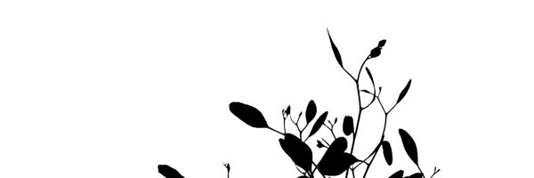 Catshark07 Profile Banner