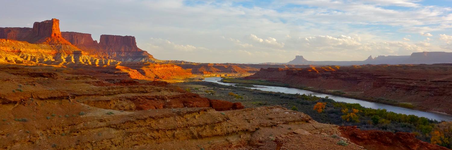 Meghan M. Hicks banner