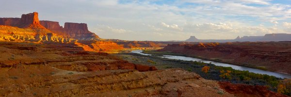 MeghanHicks Profile Banner