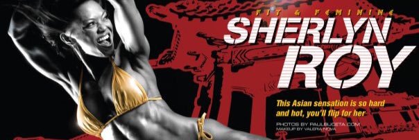 sherlynroy's profile banner image