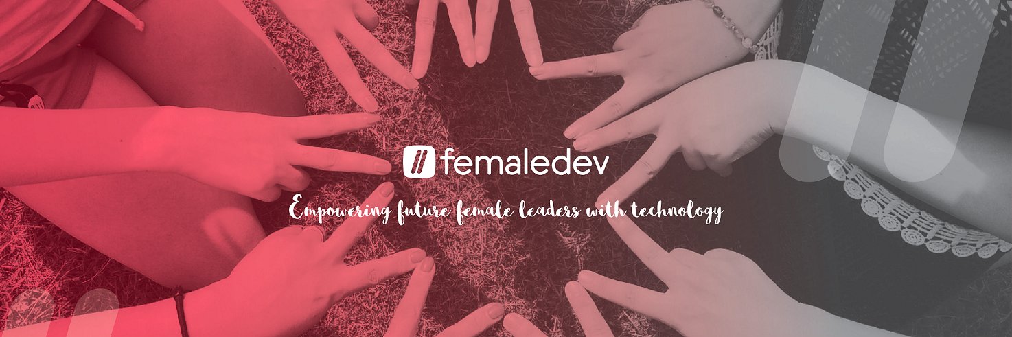 FemaleDev's profile banner image