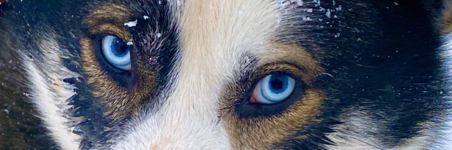 JanetHuisman's profile banner image