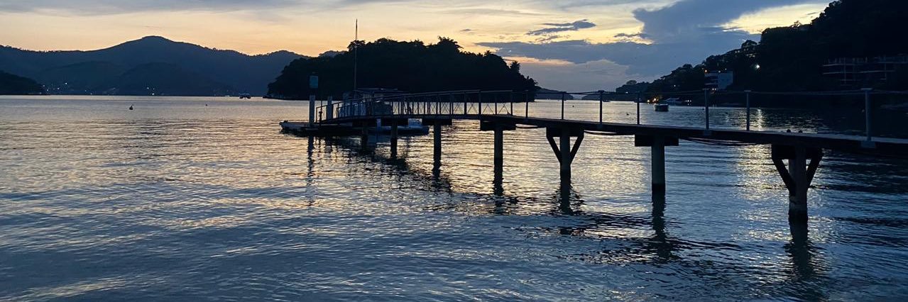 Juíza do STE banner