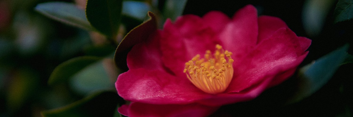 おかたろう banner