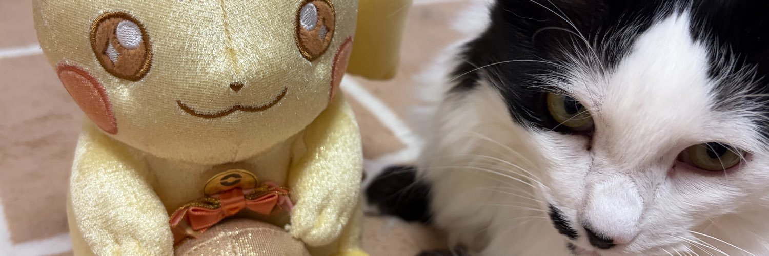 3333723's profile banner image