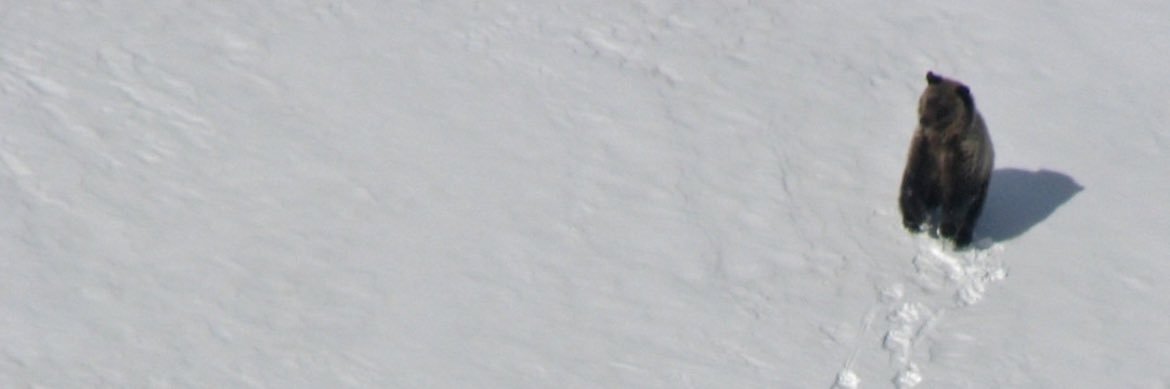 itsjaniah's profile banner image