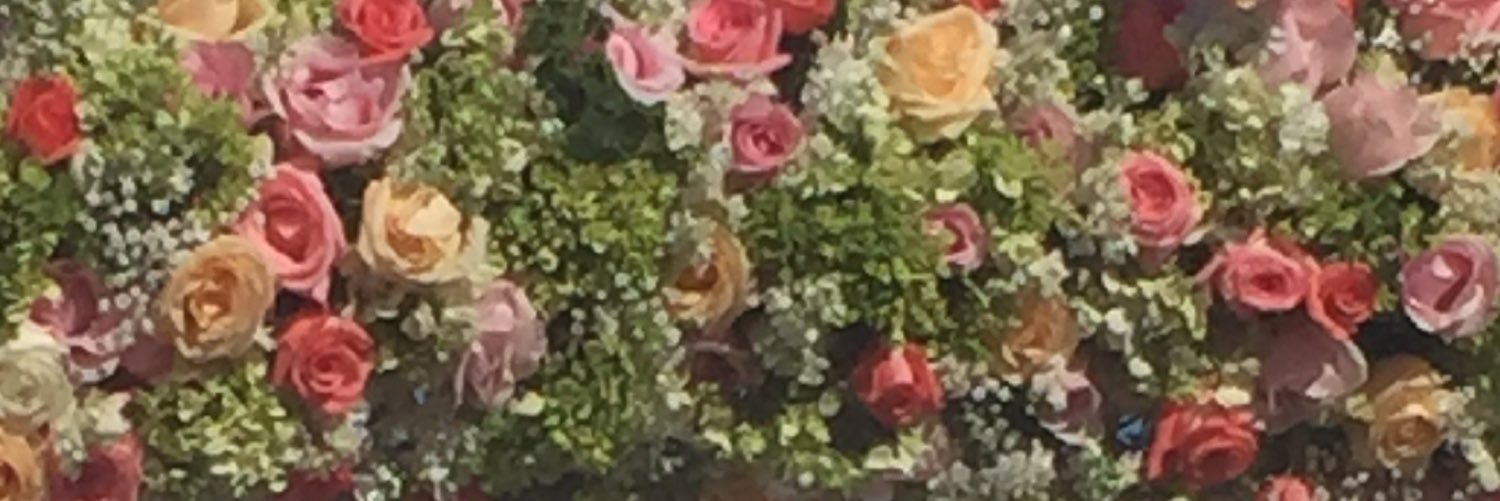 dorisolivo's profile banner image