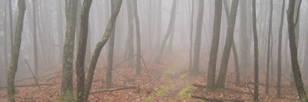 bwmoedinger's profile banner image