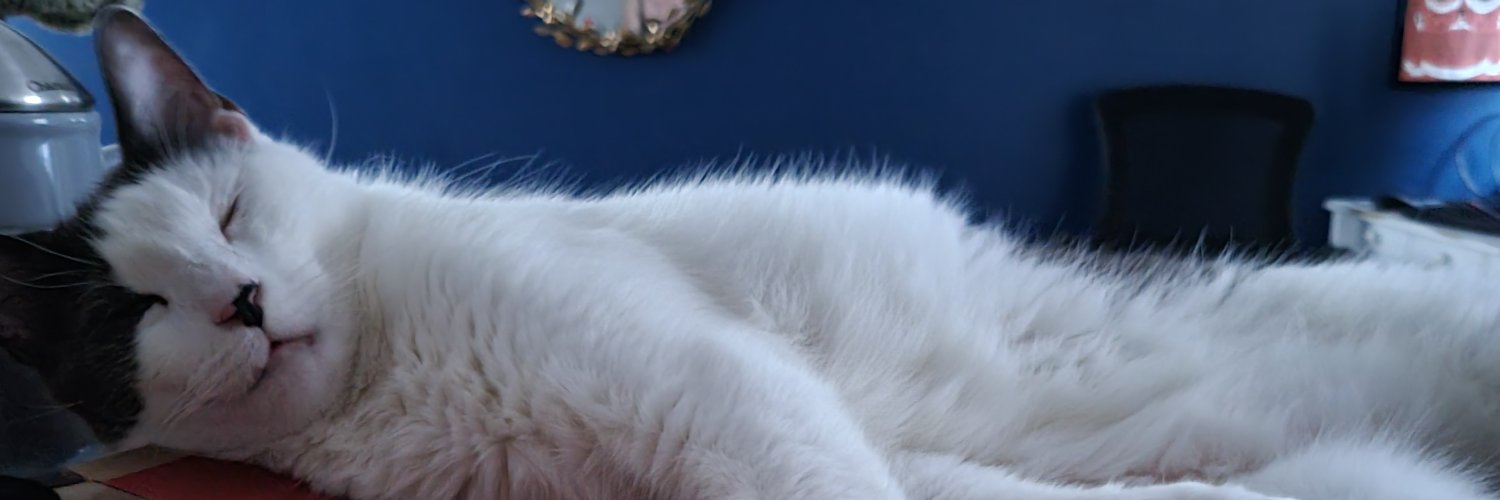 simondmccormack's profile banner image
