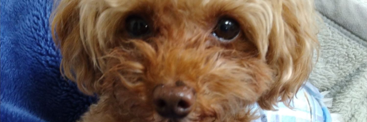 kazz0723's profile banner image