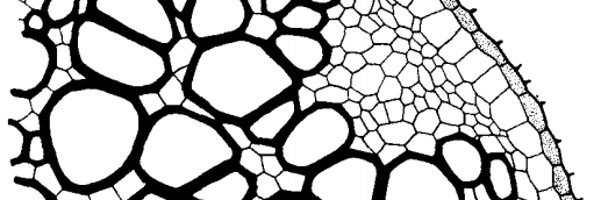 Bishopp_Lab Profile Banner