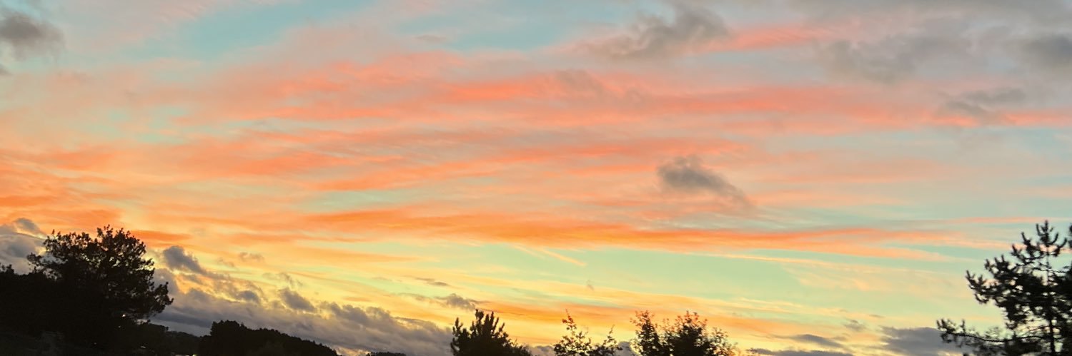 applesh0t's profile banner image