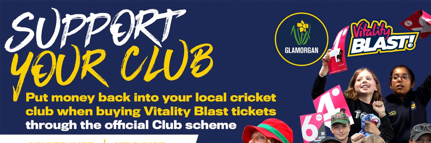 Newbridge Cricket banner