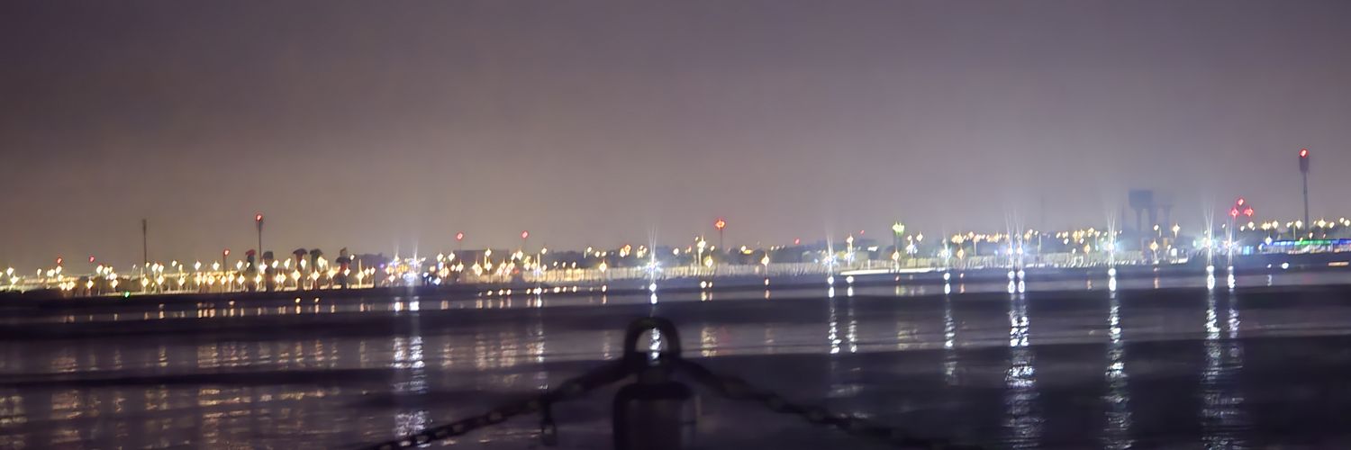 subulassis's profile banner image