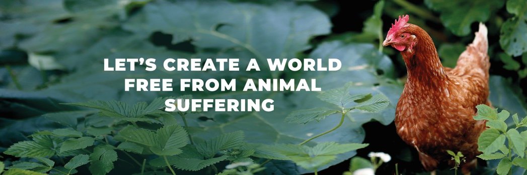 Anima International banner