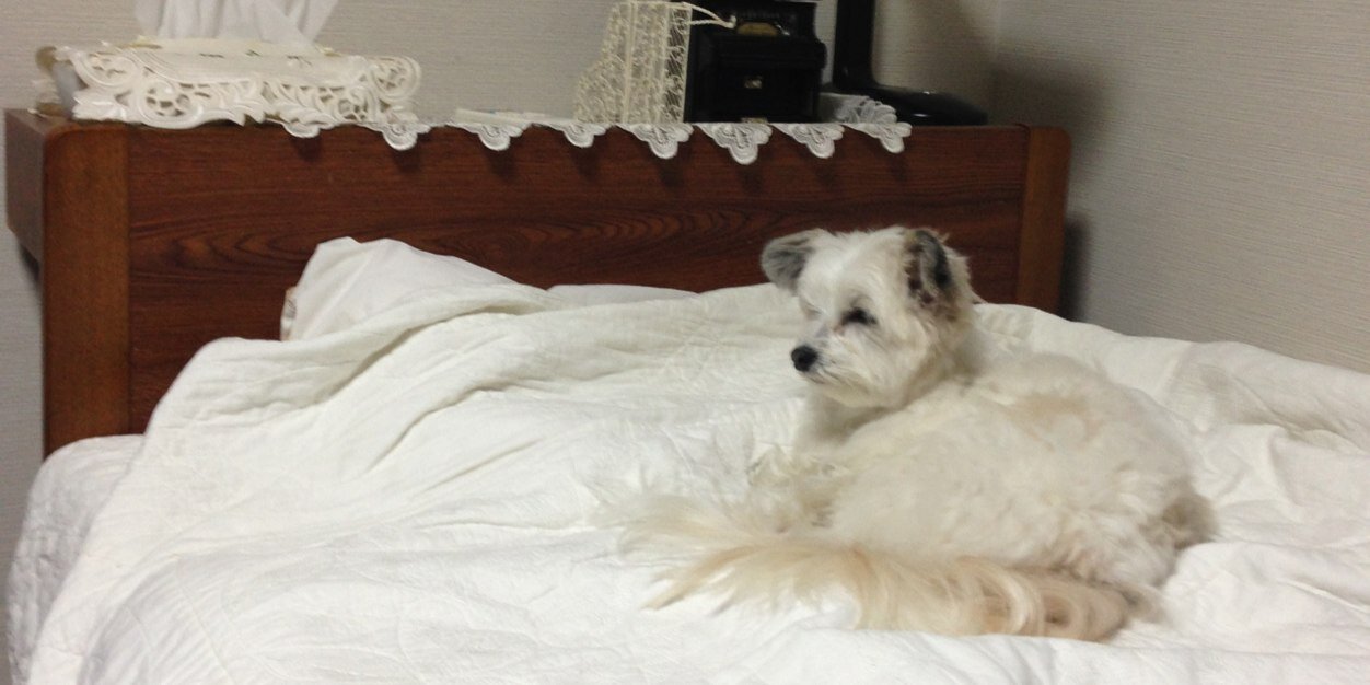 1225Mimi's profile banner image