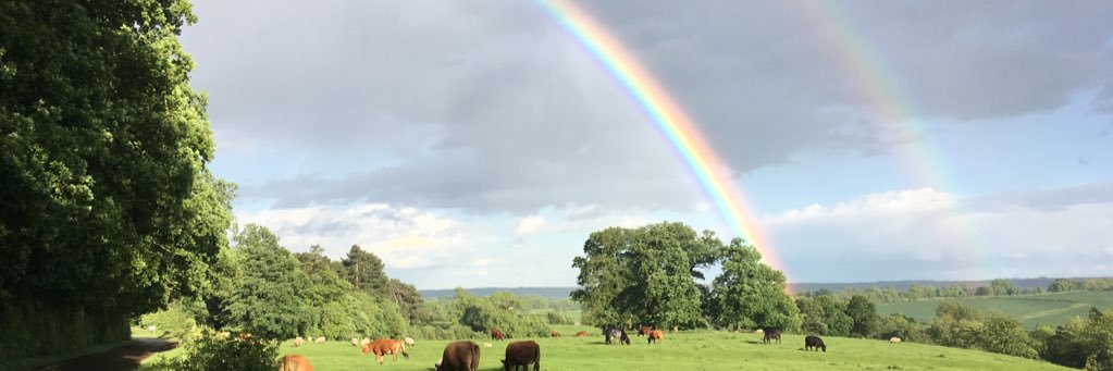 BikeHiggins's profile banner image