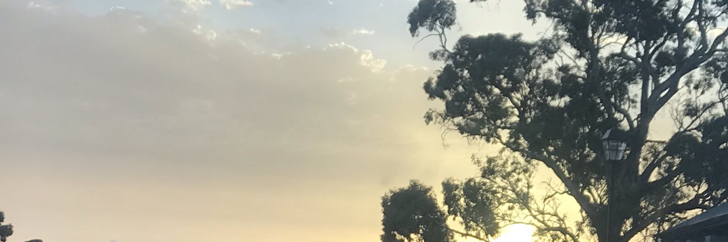 madsmck_'s profile banner image