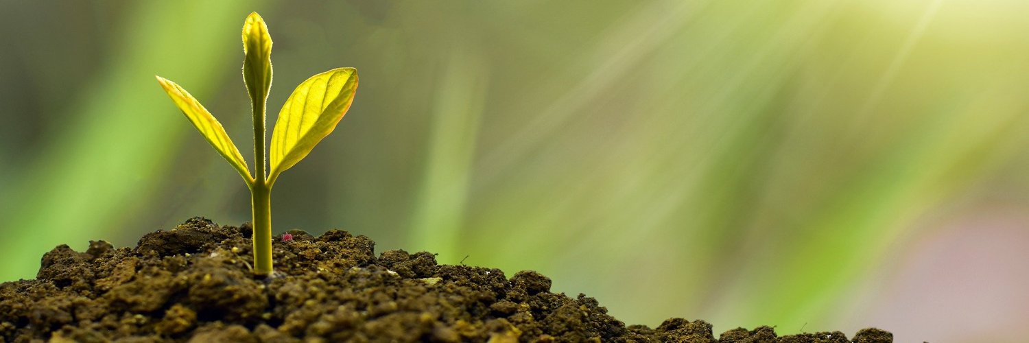 LauraMartinSamp's profile banner image