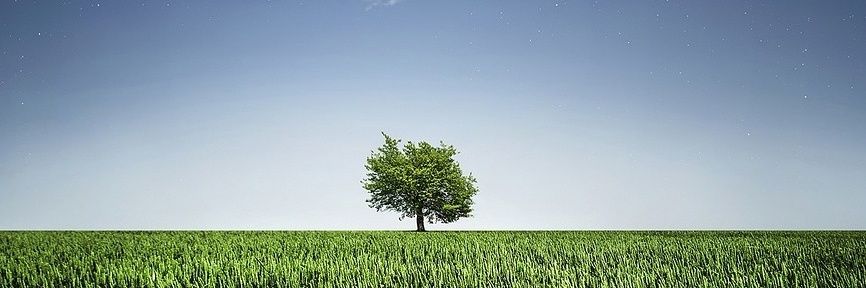 fangtiago's profile banner image