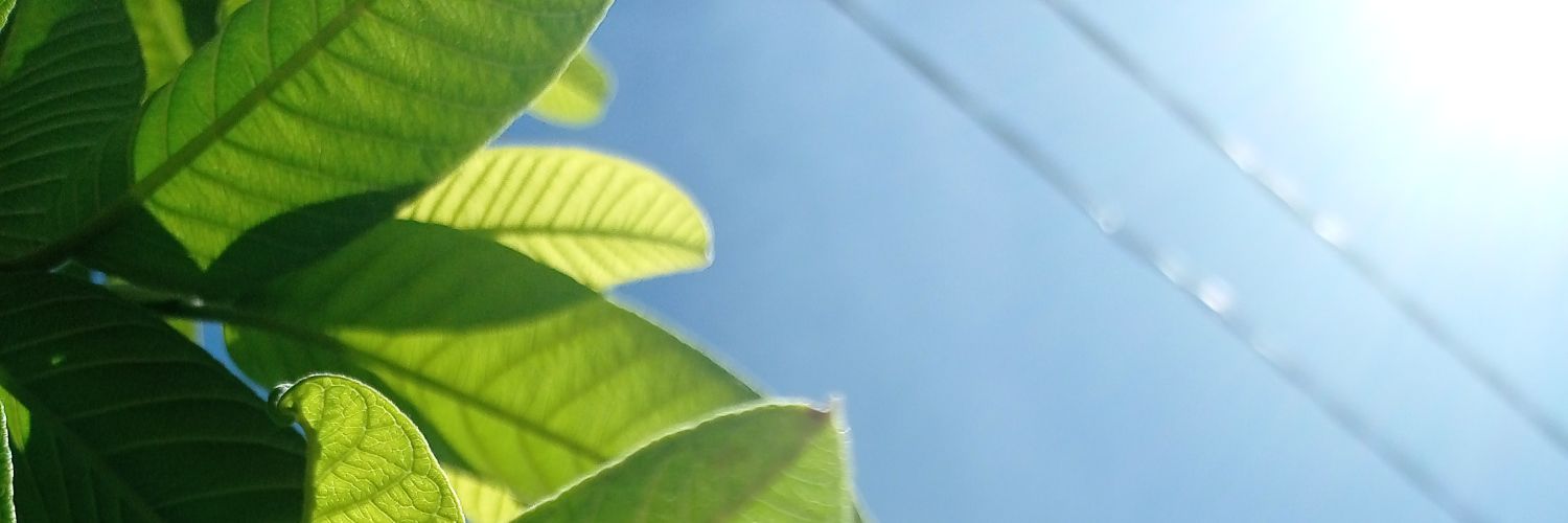 HilmanASK's profile banner image