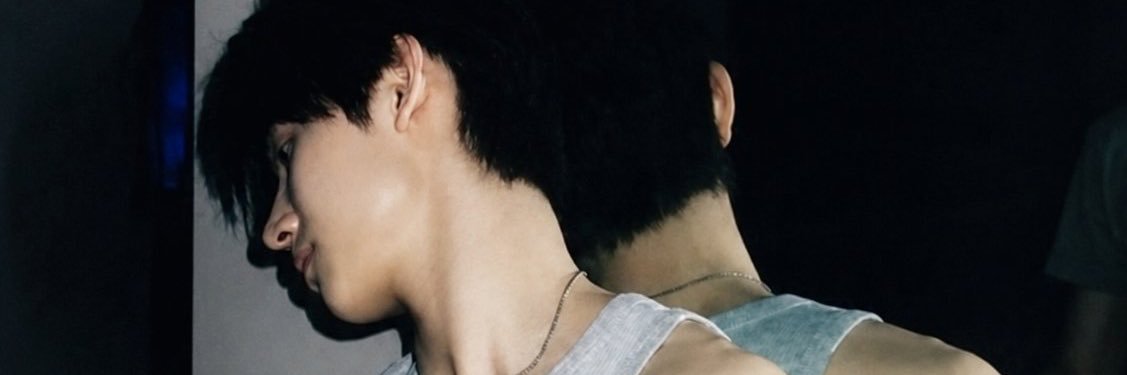 Penguinpalss's profile banner image