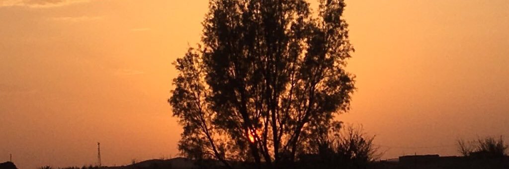 منيرة التميمي banner