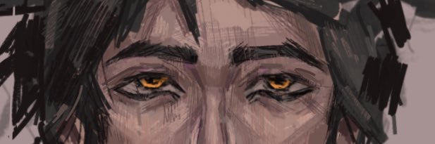 Axxil banner