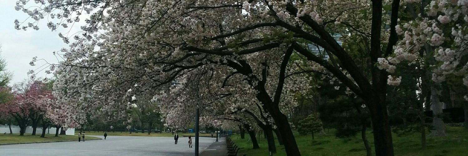 chan_no_ta's profile banner image