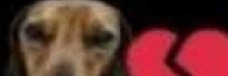 amnandaaa's profile banner image