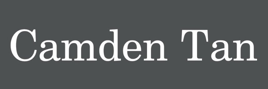 CamdenTan's profile banner image