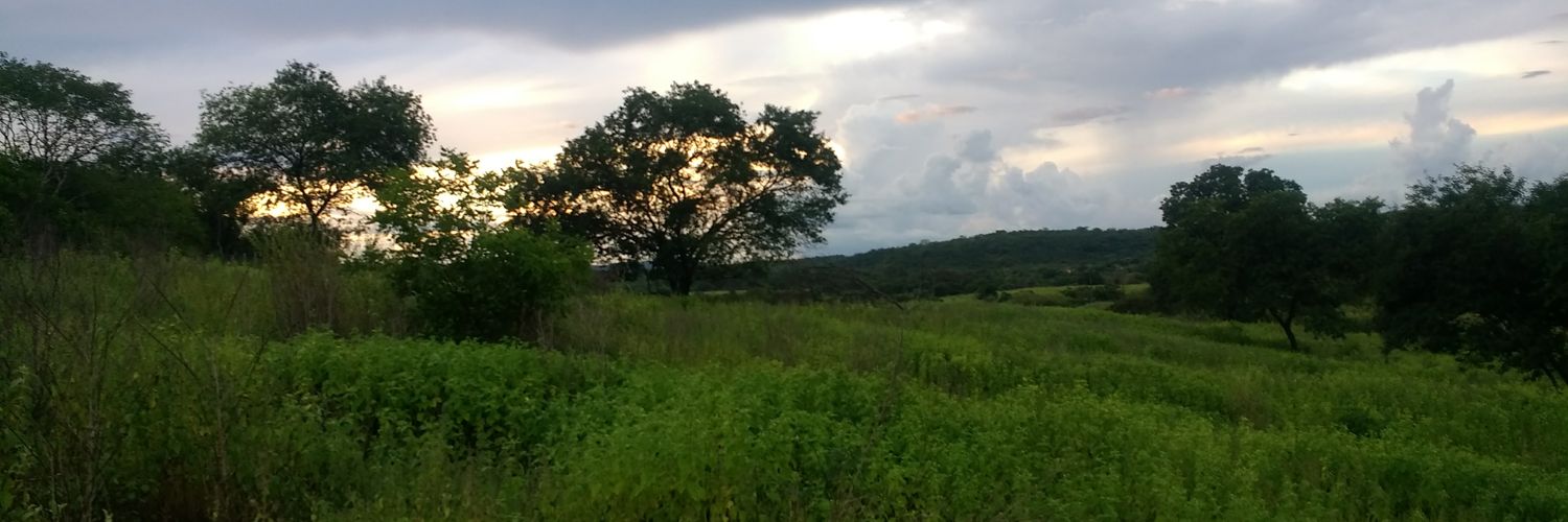 klebertzeppelyn's profile banner image