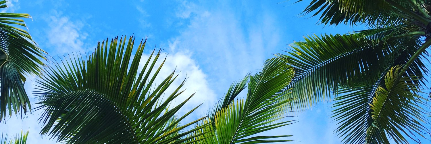 dangaloo's profile banner image