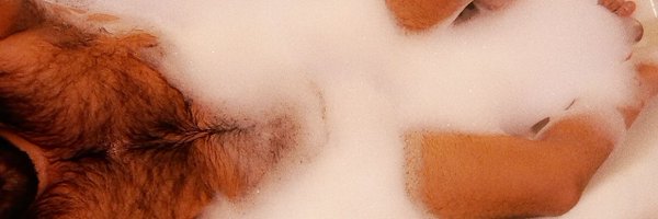 Desidirector Profile Banner