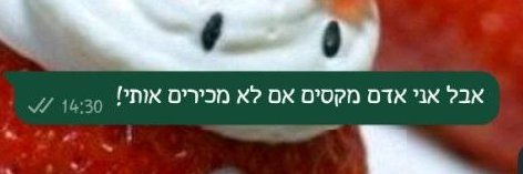 Ya'ara banner
