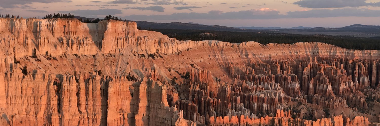 Andrea Bräutigam banner