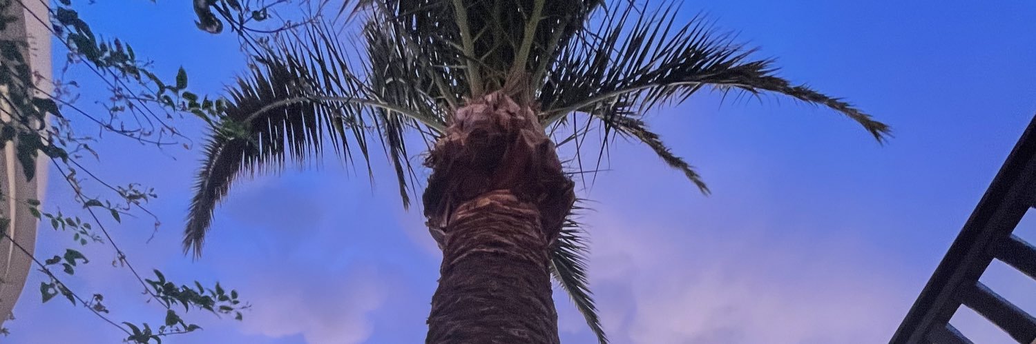 MagconxxJanos's profile banner image