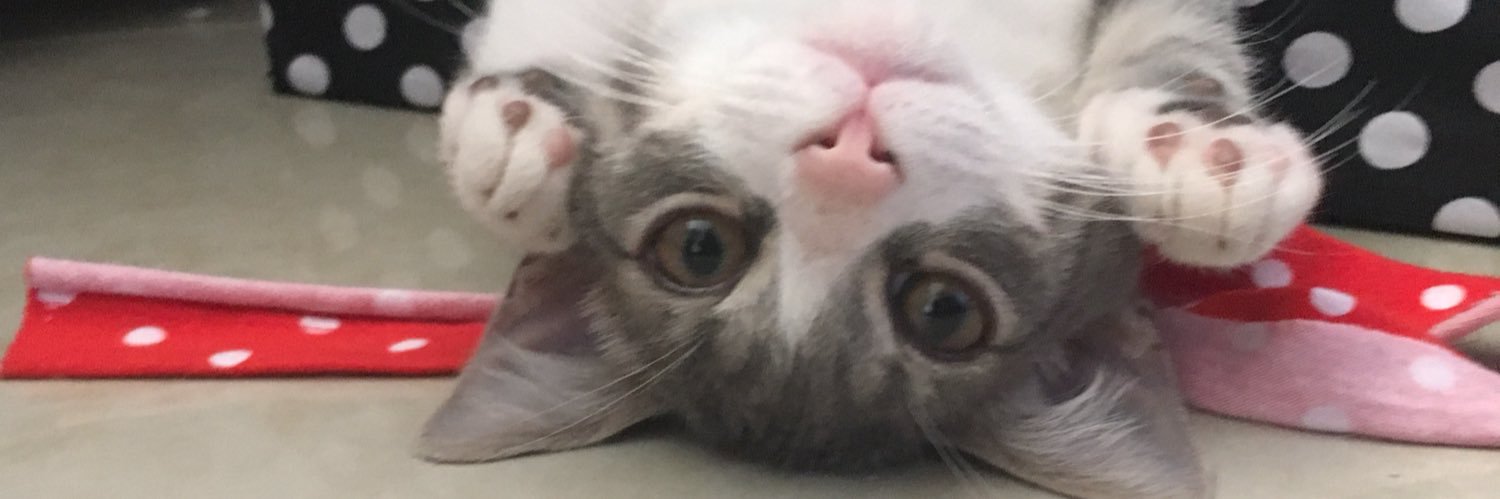 Jaime Andres Ortiz banner