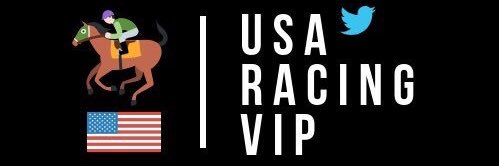 VIP 🥇 USA 🇺🇸🐎 Racing Handicapper Ray banner
