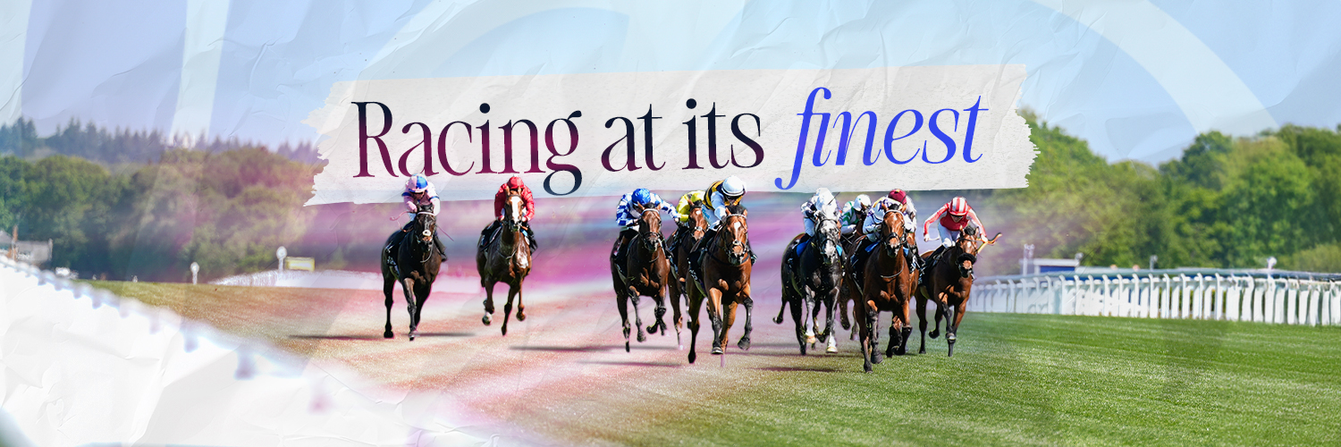 Ascot's profile banner image