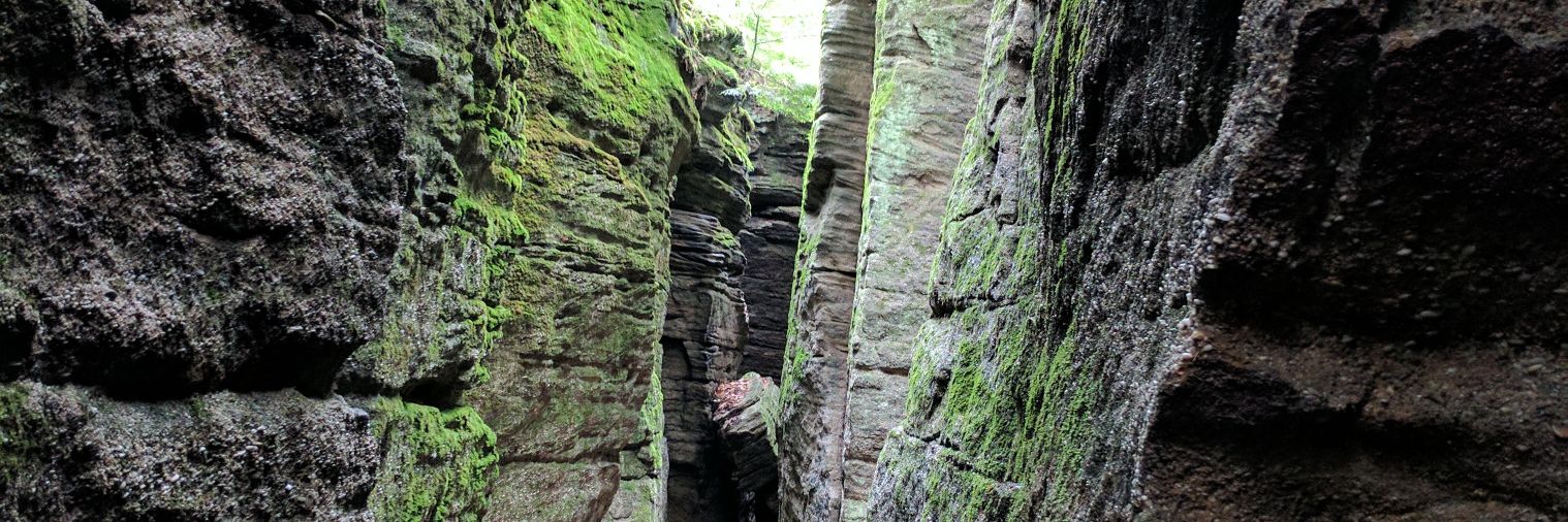 Benjamin Baker banner