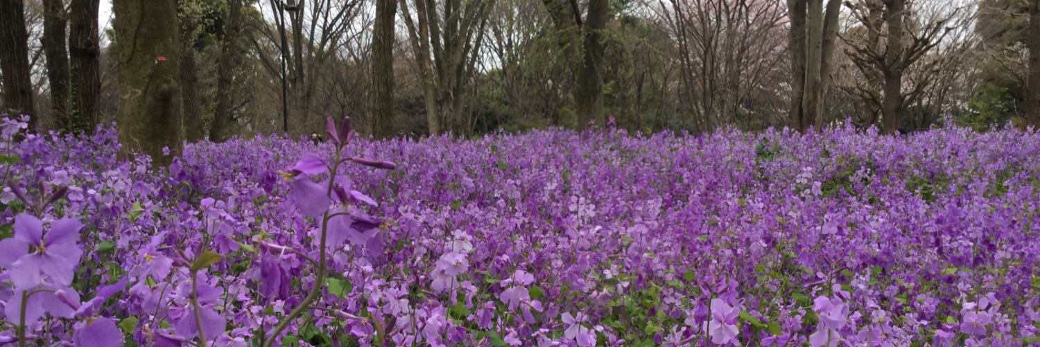 とらひこ banner