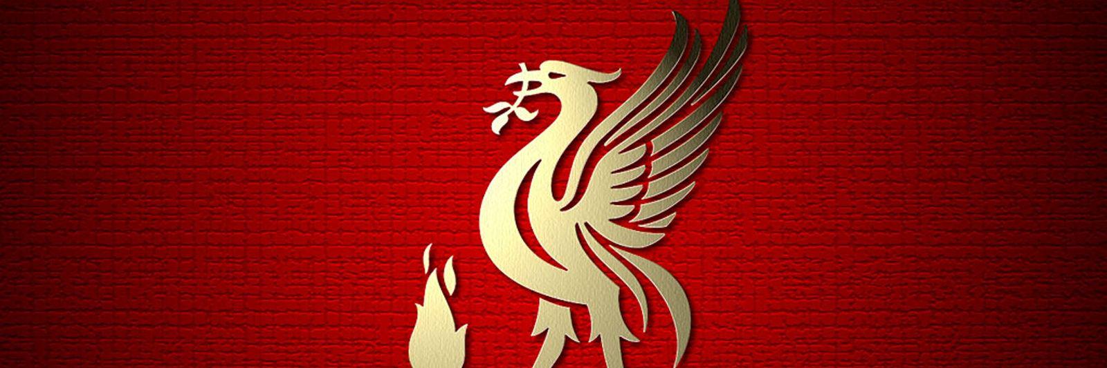 vandoe12's profile banner image