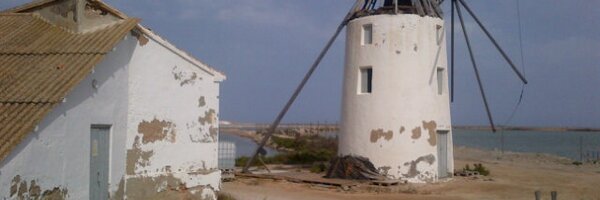 loredanarotundo Profile Banner