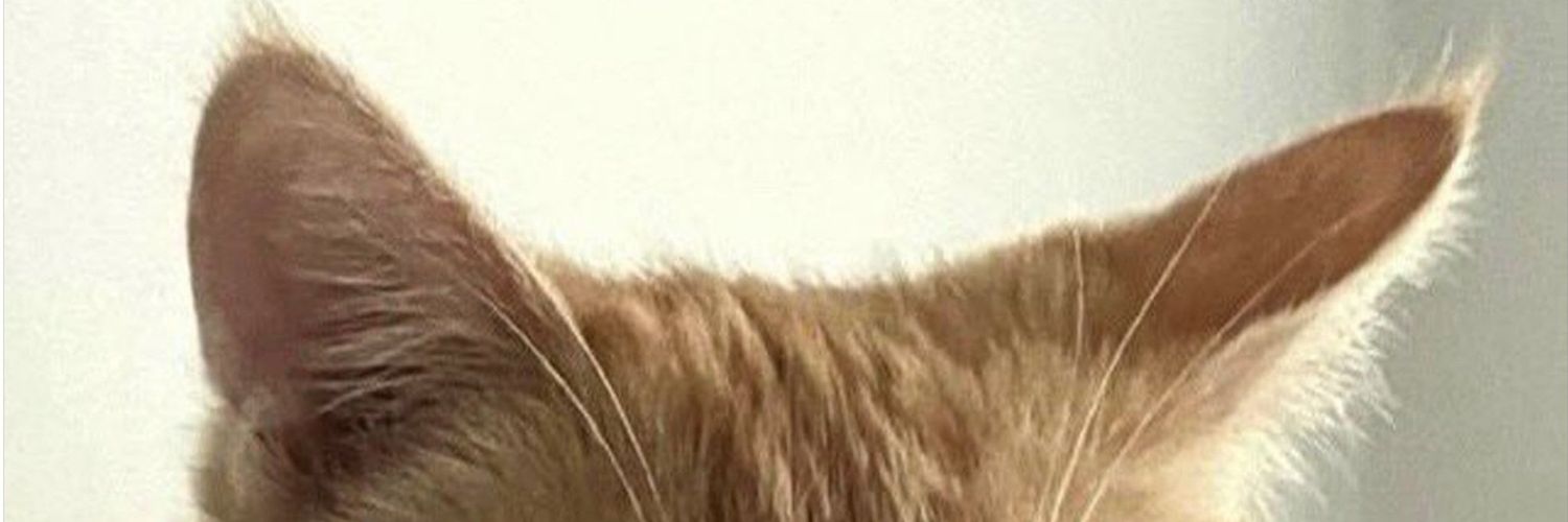 yara🍉 banner