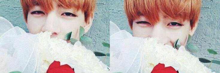 BTSV__'s profile banner image