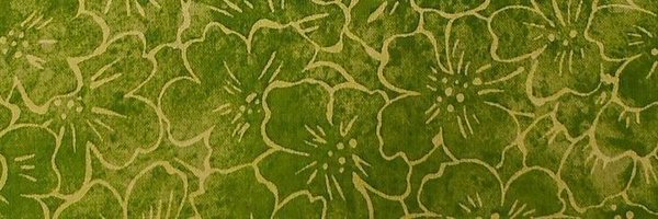 flopardinha Profile Banner