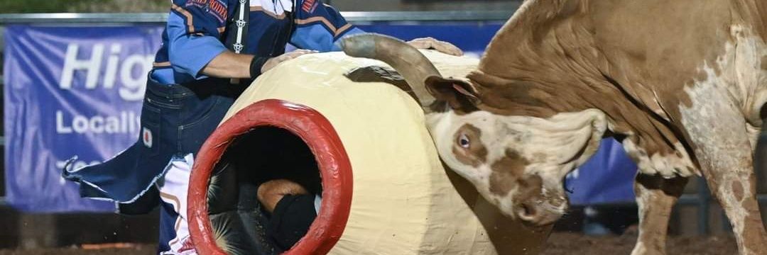 Hamel Rodeo banner